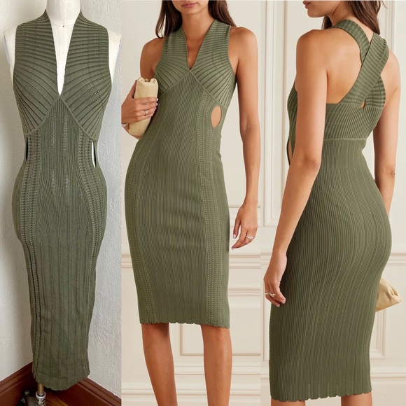 Dion Lee Dresses & Skirts - $980 Dion Lee Cutout Snake Effect MIDI Olive Ribbed Dress